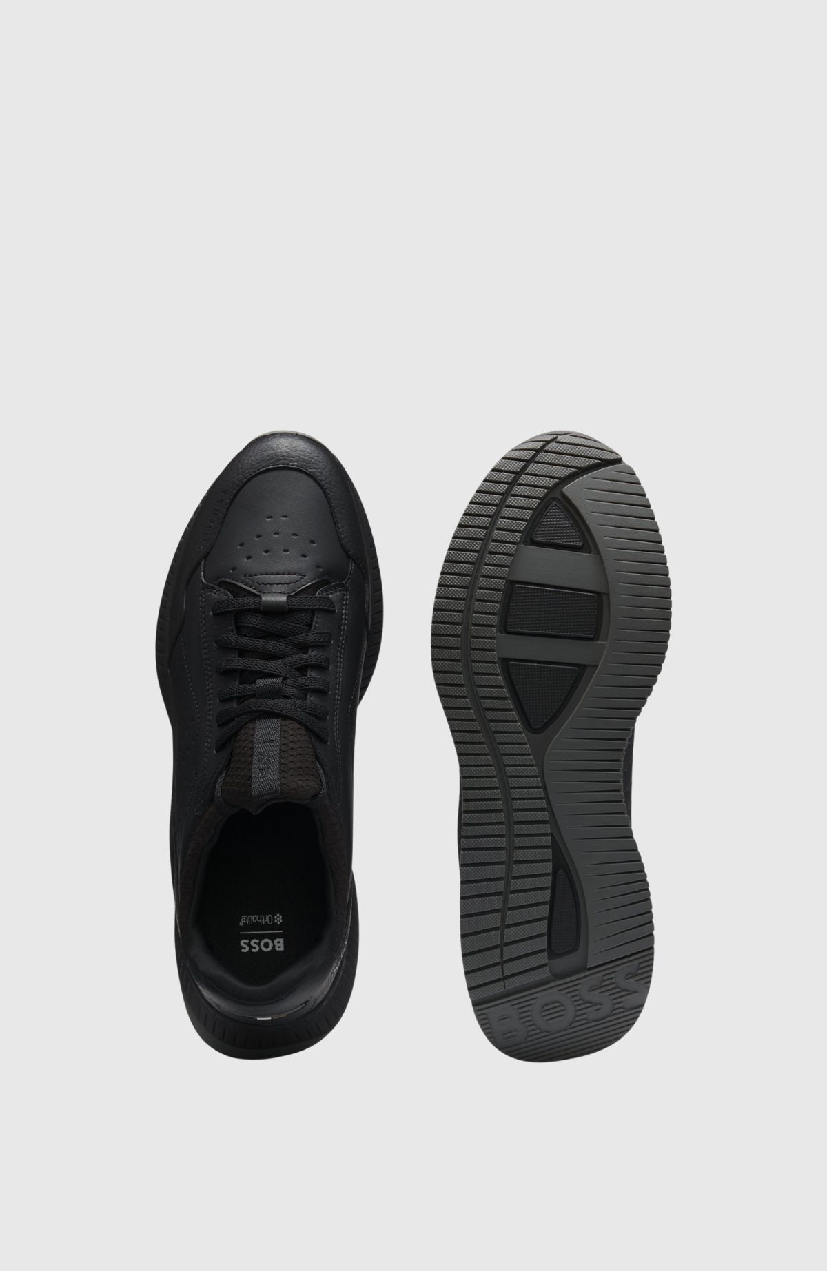 TTNM EVO_Slon_ltmxly