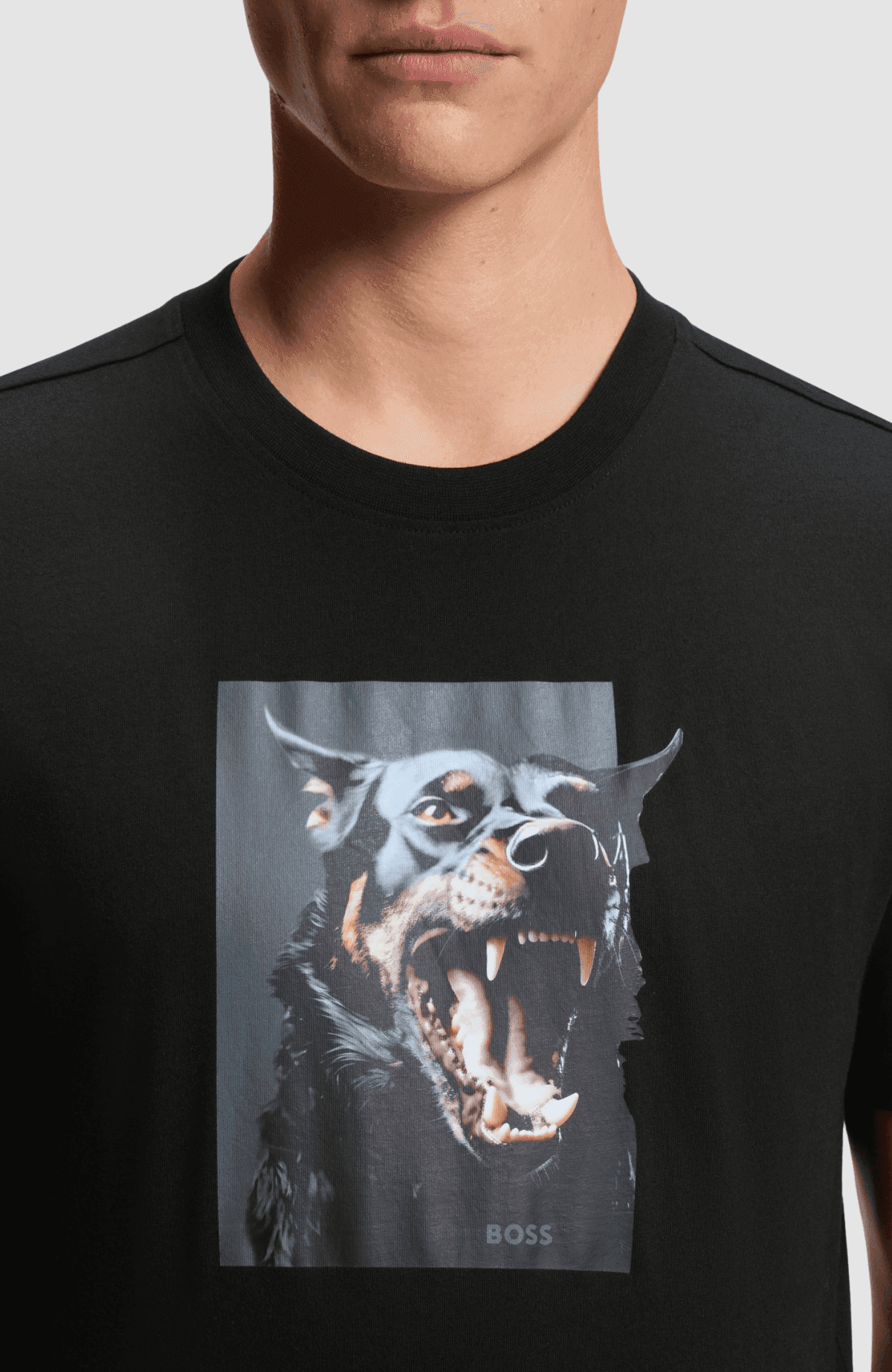 Te_Dobermann