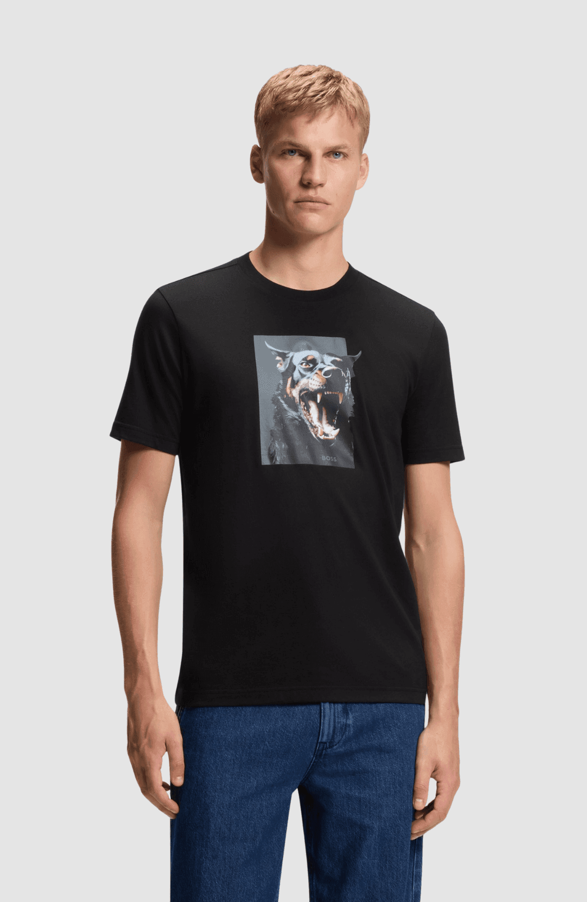 Te_Dobermann