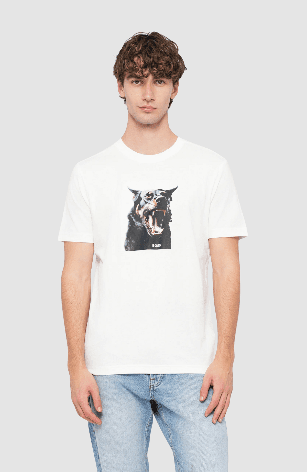 Te_Dobermann