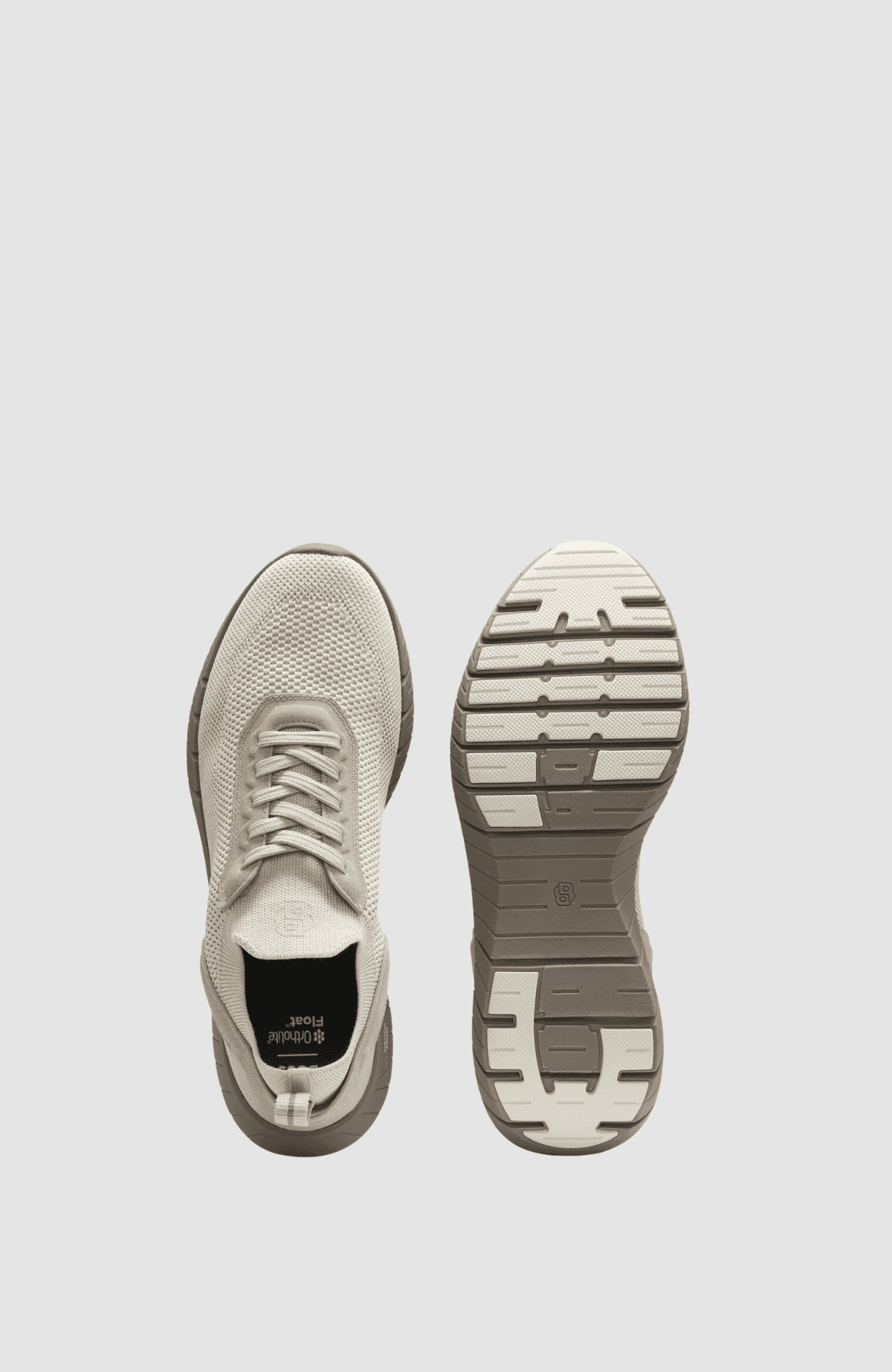 BOSS-MOTION_Slon_kns