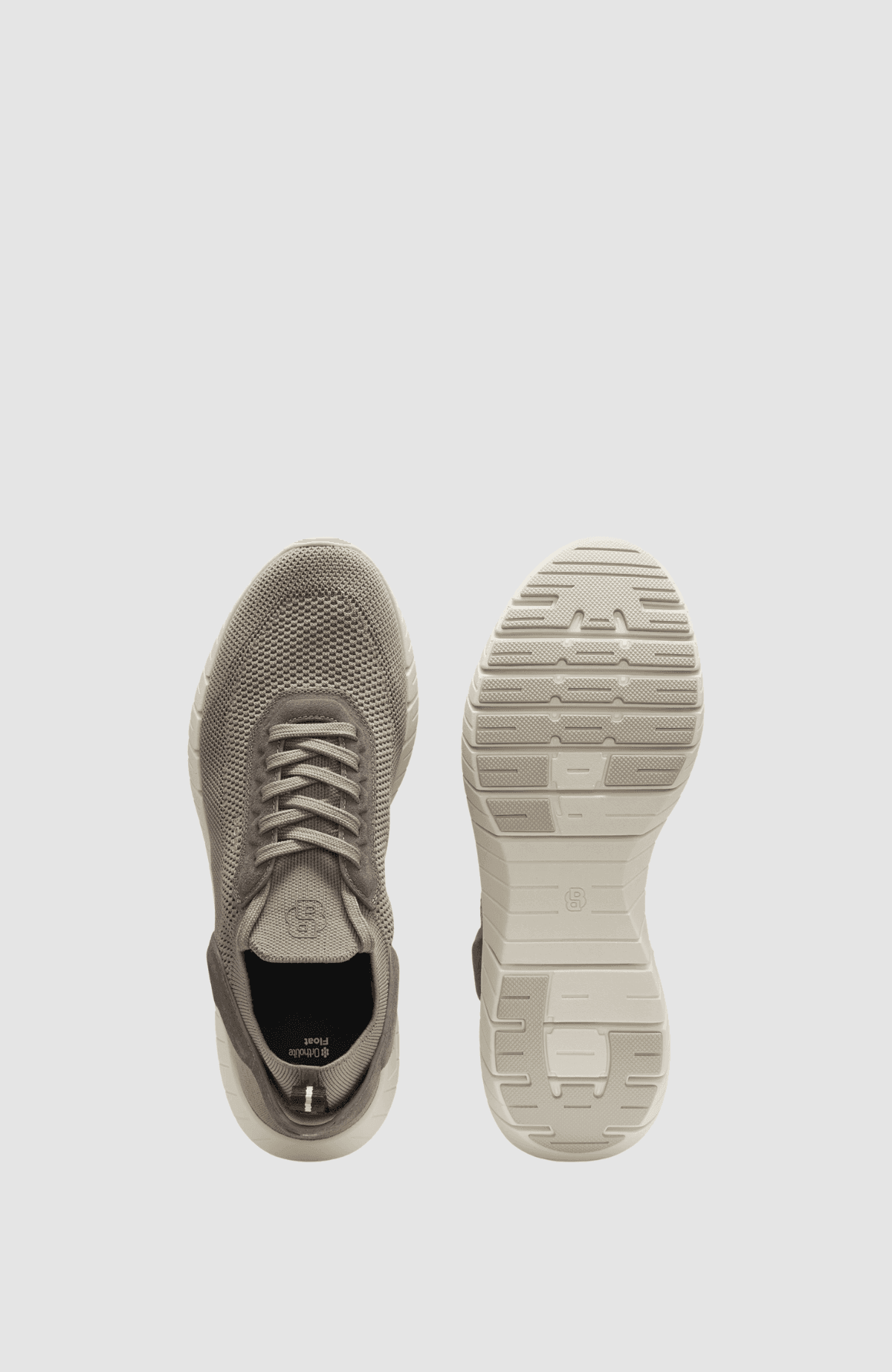 BOSS-MOTION_Slon_kns