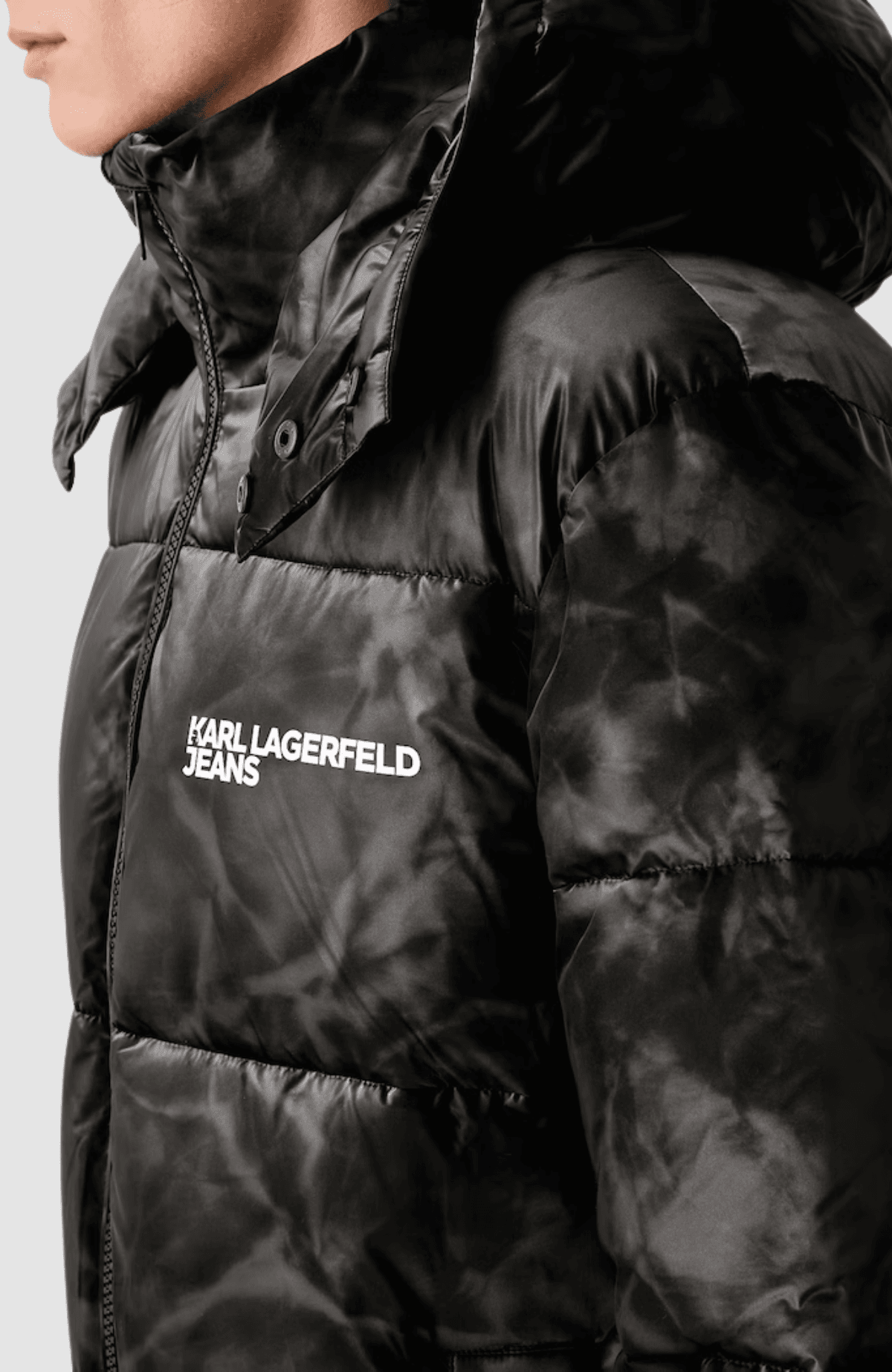 KLJ Reg Shiny Puffer