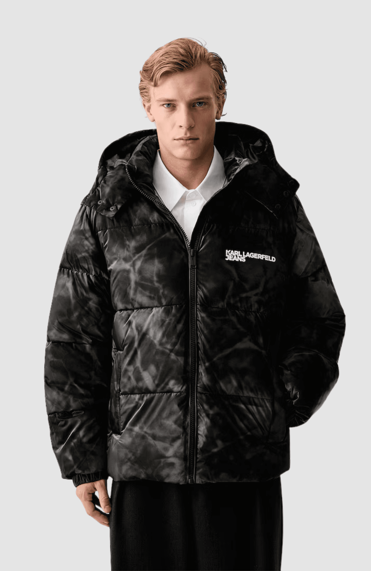 KLJ Reg Shiny Puffer