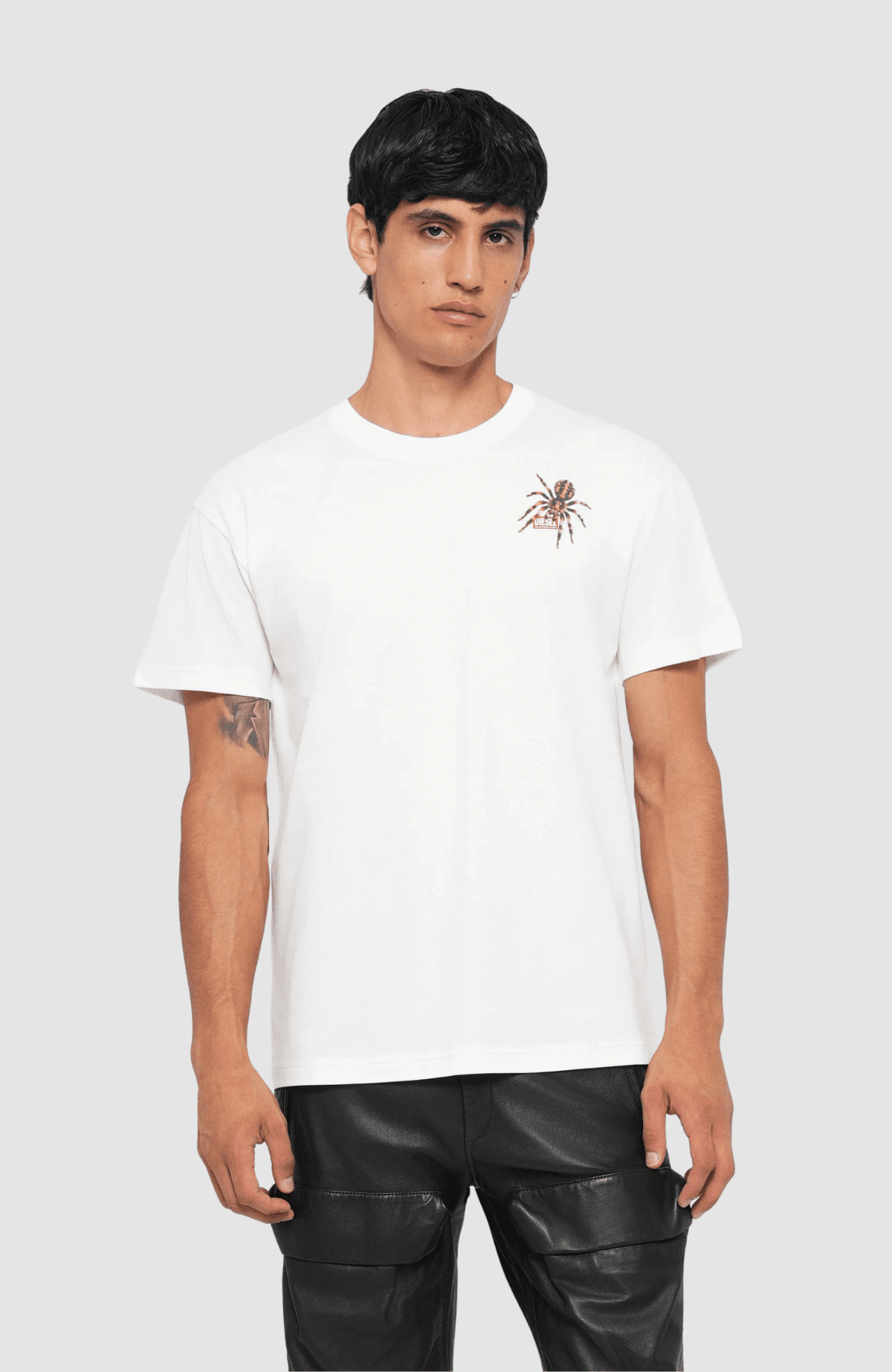 T Norm Spider