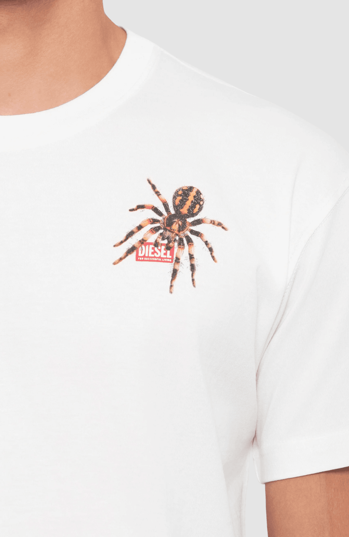 T Norm Spider