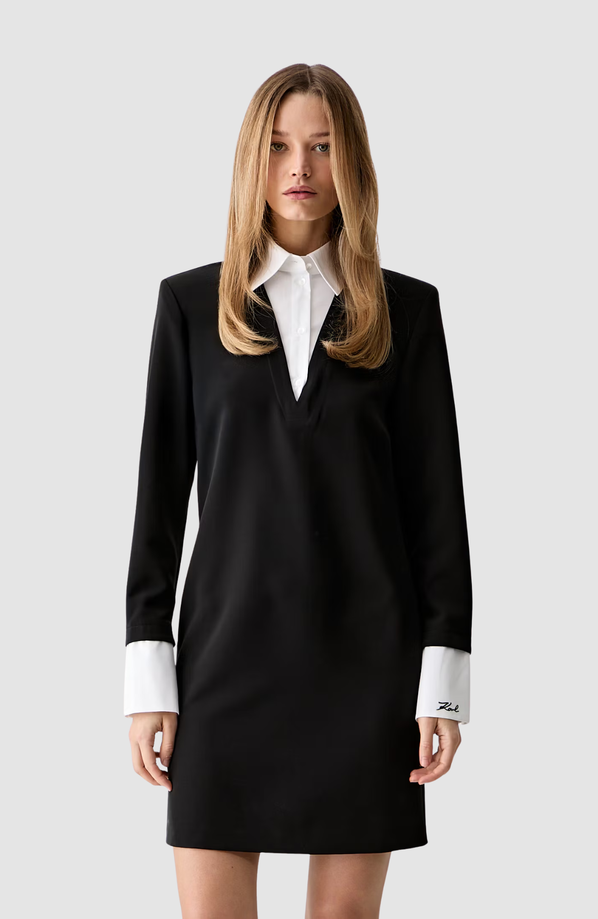 Contrast Collar Dress