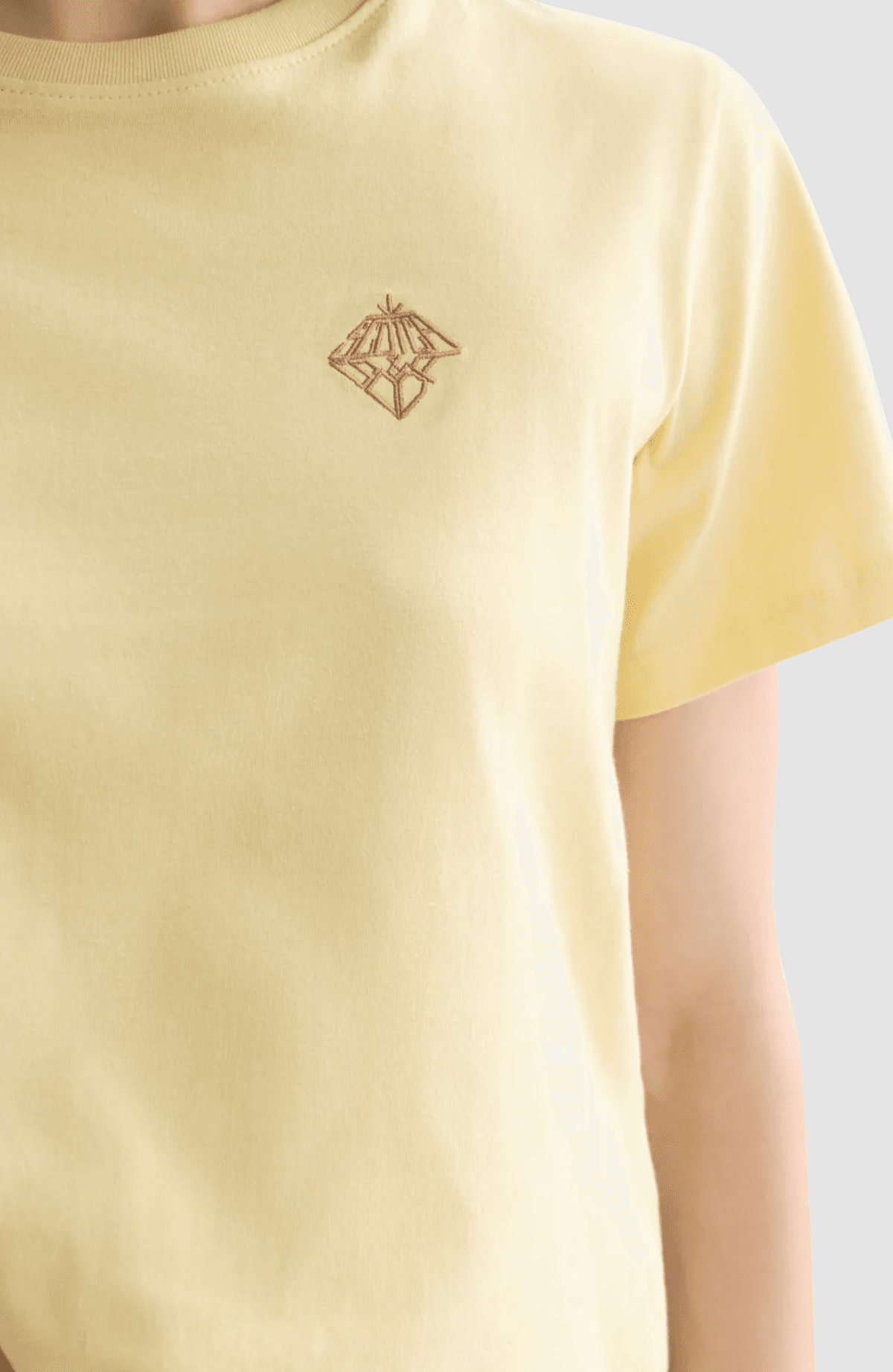 Regular fit T-shirt with chest artwork