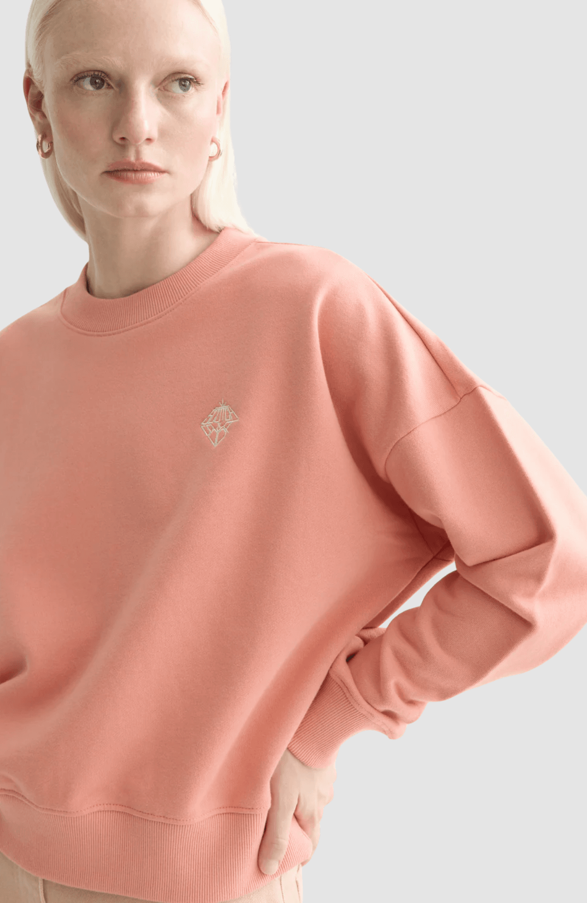 Embroidered logo relaxed fit sweatshirt