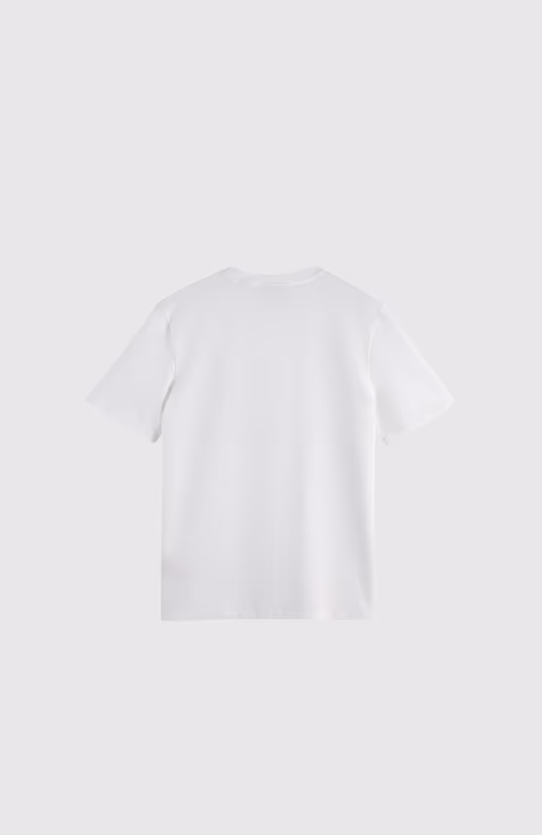 Seasonal Core - Striped Regular-Fit Oxford Shirt