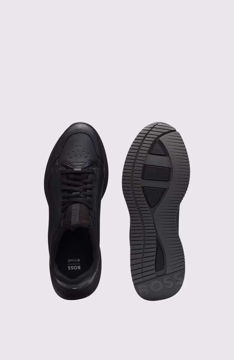 TTNM EVO_Slon_ltmxly