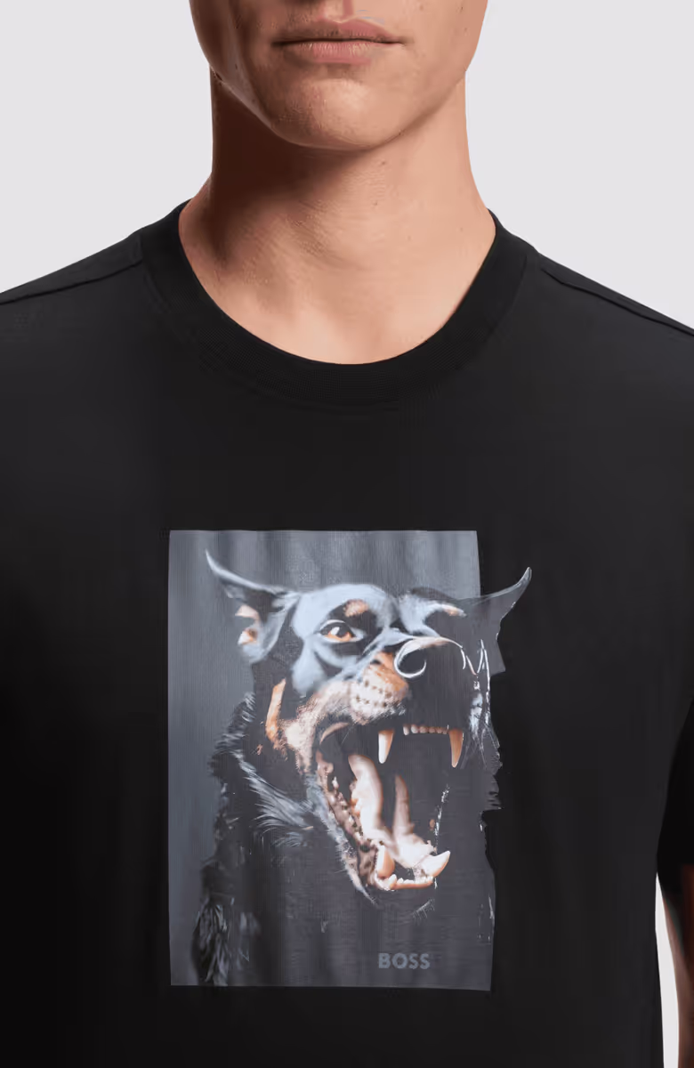Te_Dobermann