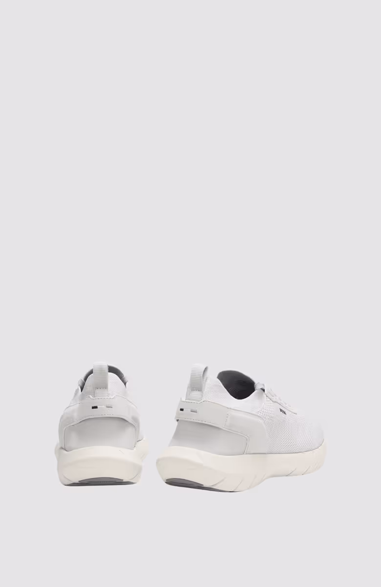 BOSS-MOTION_Slon_kns