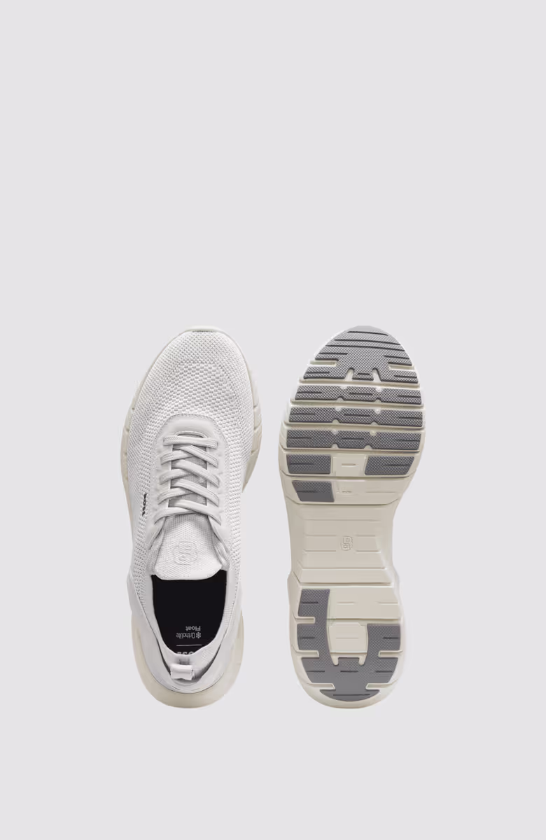 BOSS-MOTION_Slon_kns