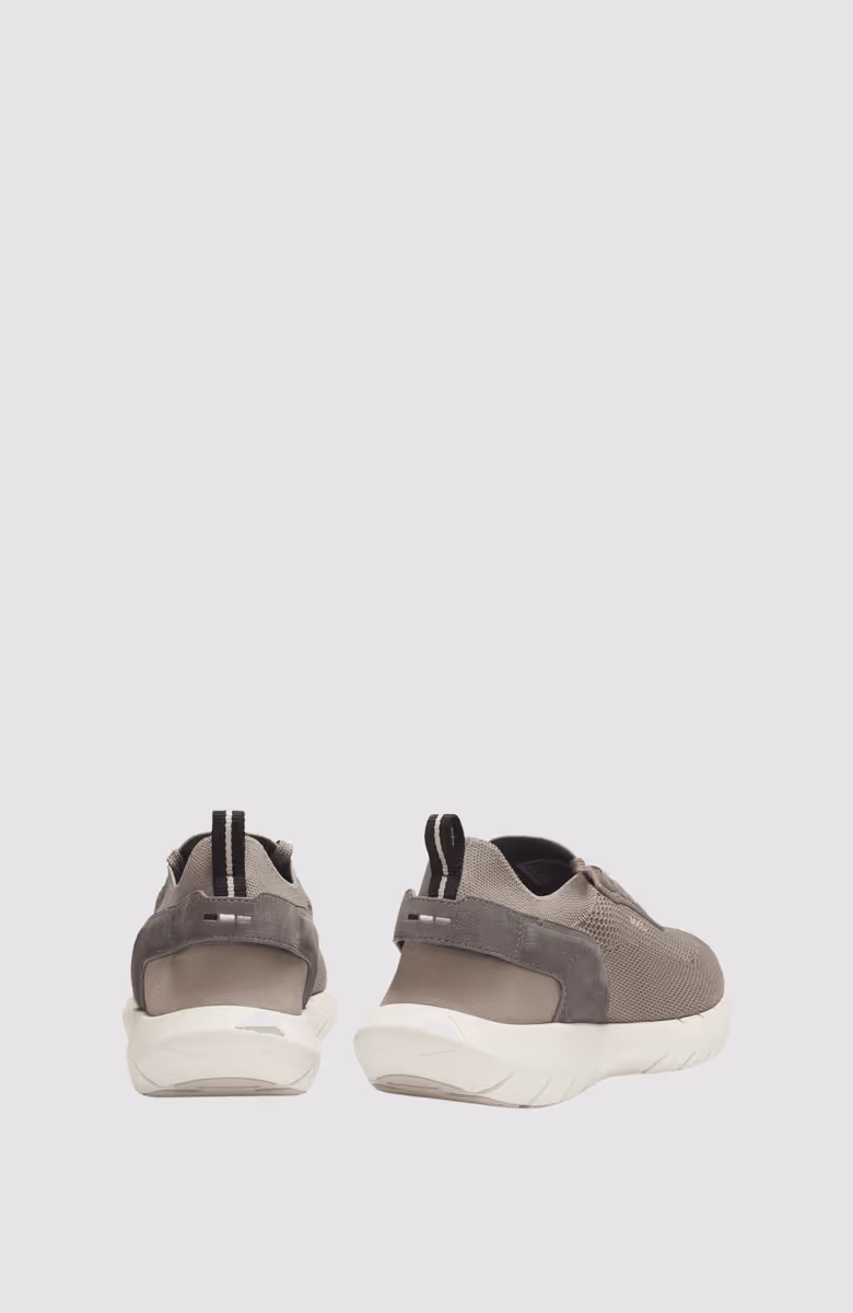 BOSS-MOTION_Slon_kns