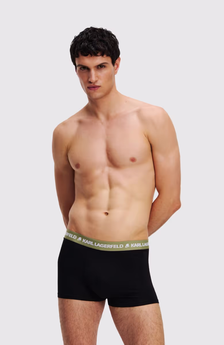 Logo Trunk Colorband (3P)
