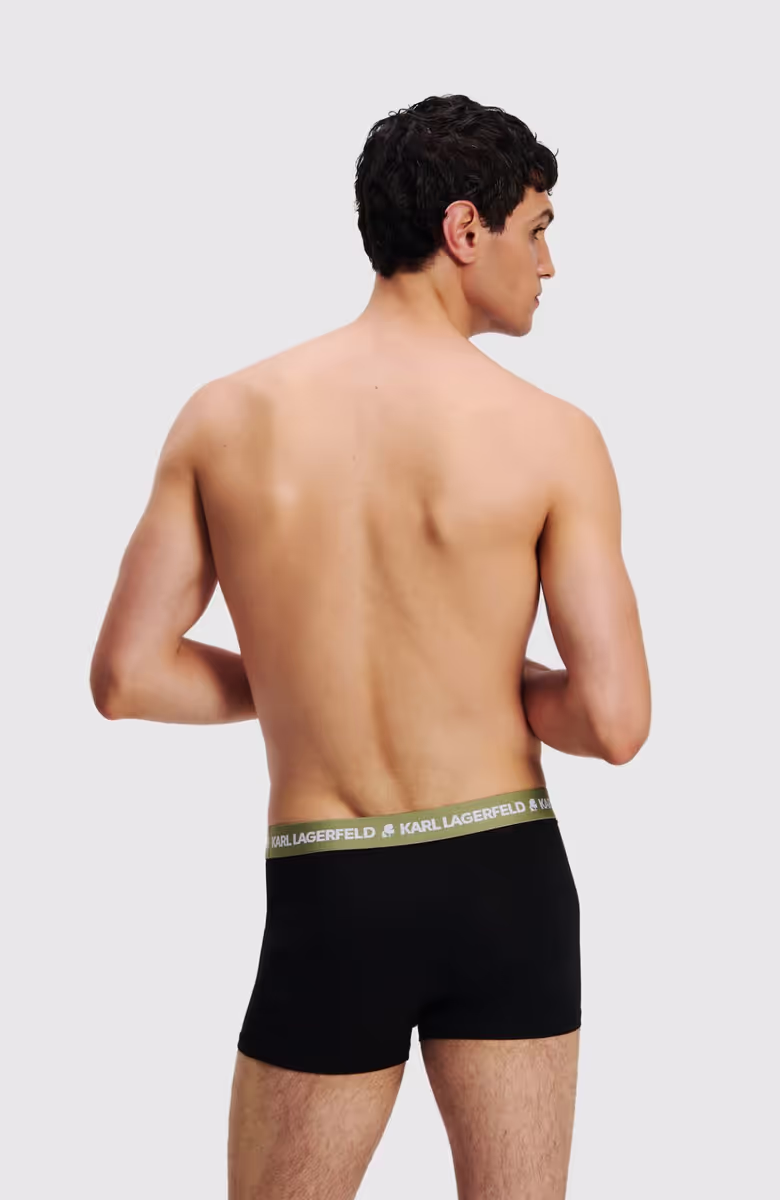Logo Trunk Colorband (3P)