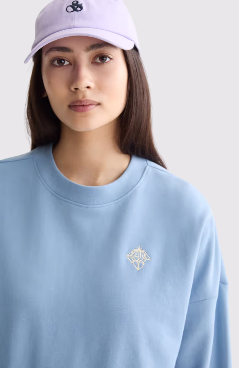 Embroidered logo relaxed fit sweatshirt