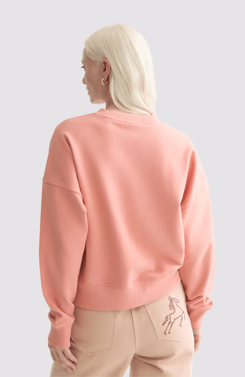 Embroidered logo relaxed fit sweatshirt