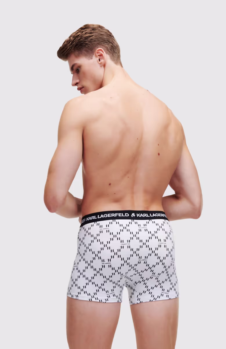Logo Monogram Trunk Set(3Pack)