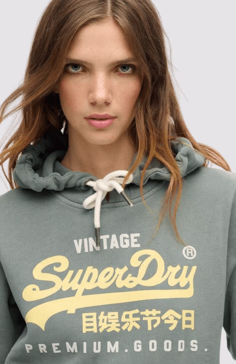 PUFF PRINT VL GRAPHIC HOODIE