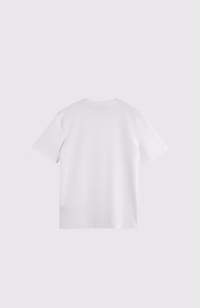 Seasonal Core - Striped Regular-Fit Oxford Shirt