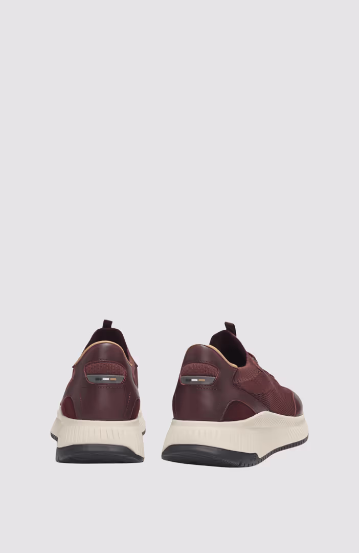 TTNM EVO_Slon_knbult