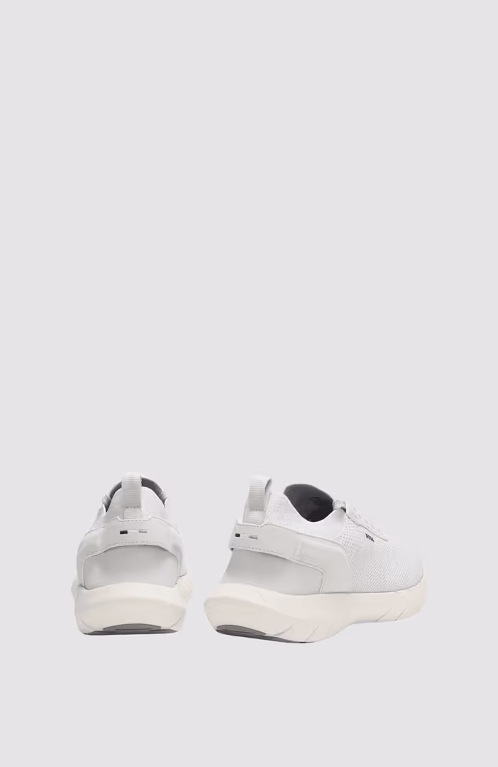 BOSS-MOTION_Slon_kns