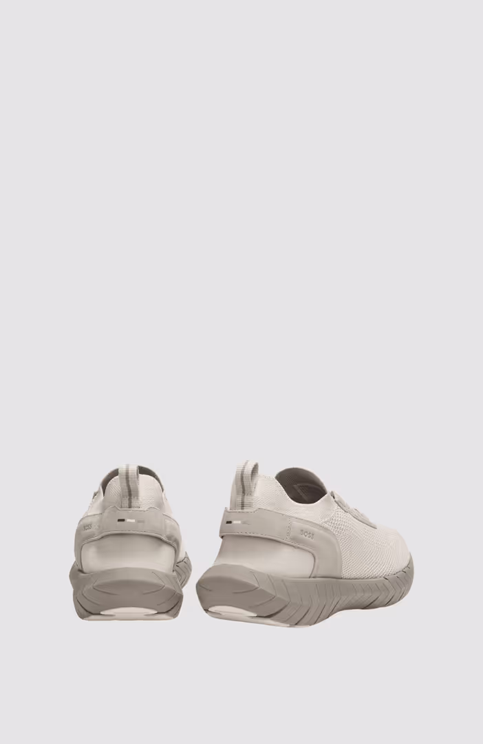 BOSS-MOTION_Slon_kns