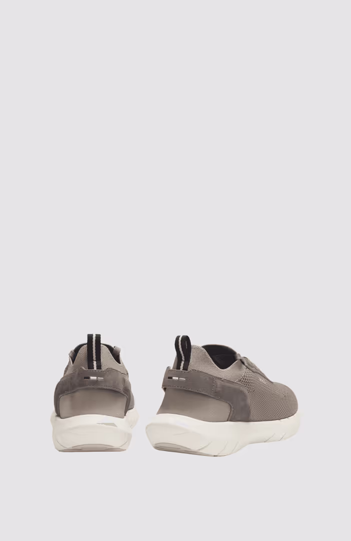 BOSS-MOTION_Slon_kns