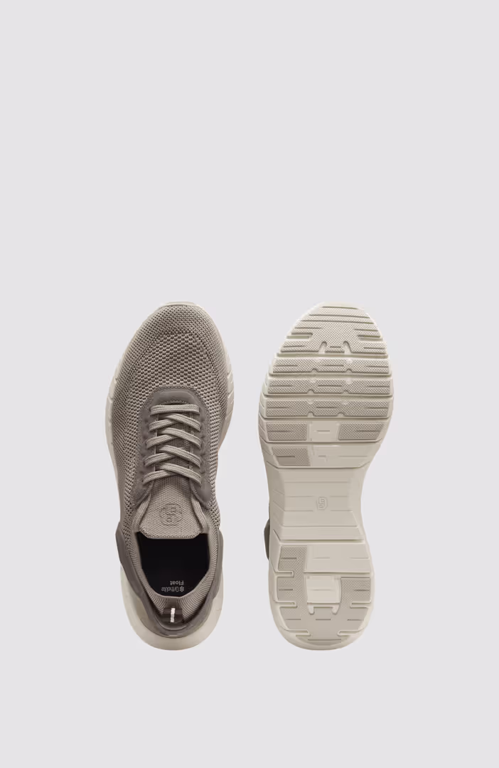 BOSS-MOTION_Slon_kns