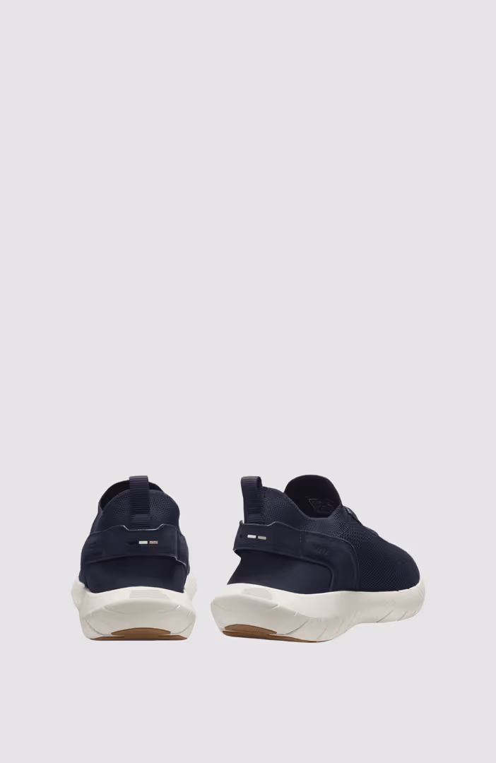 BOSS-MOTION_Slon_kns