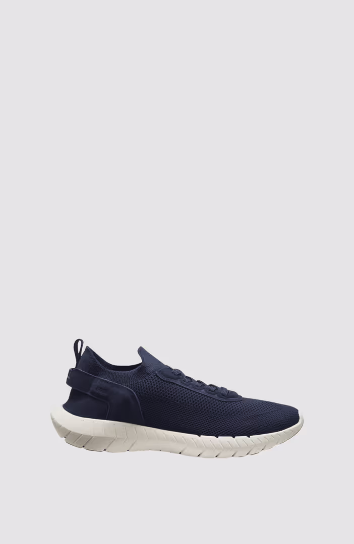 BOSS-MOTION_Slon_kns