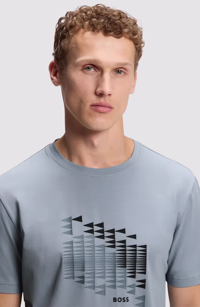 TS_Network Flag