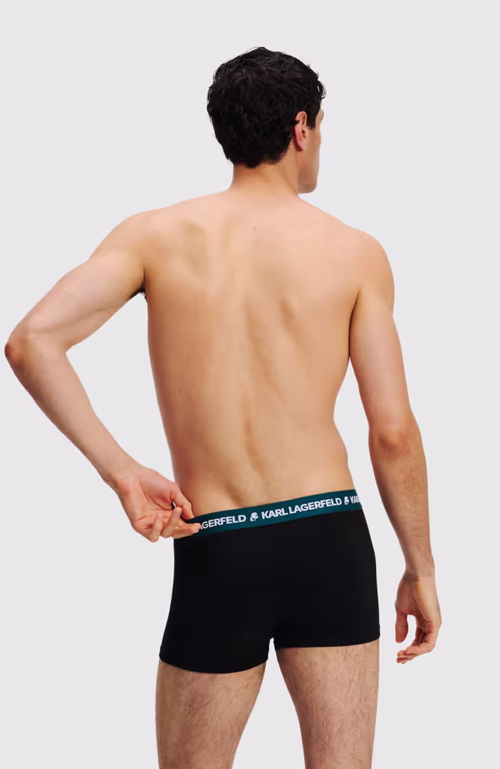 Logo Trunk Colorband (3P)