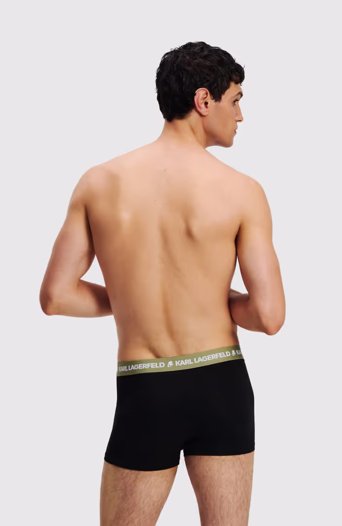 Logo Trunk Colorband (3P)