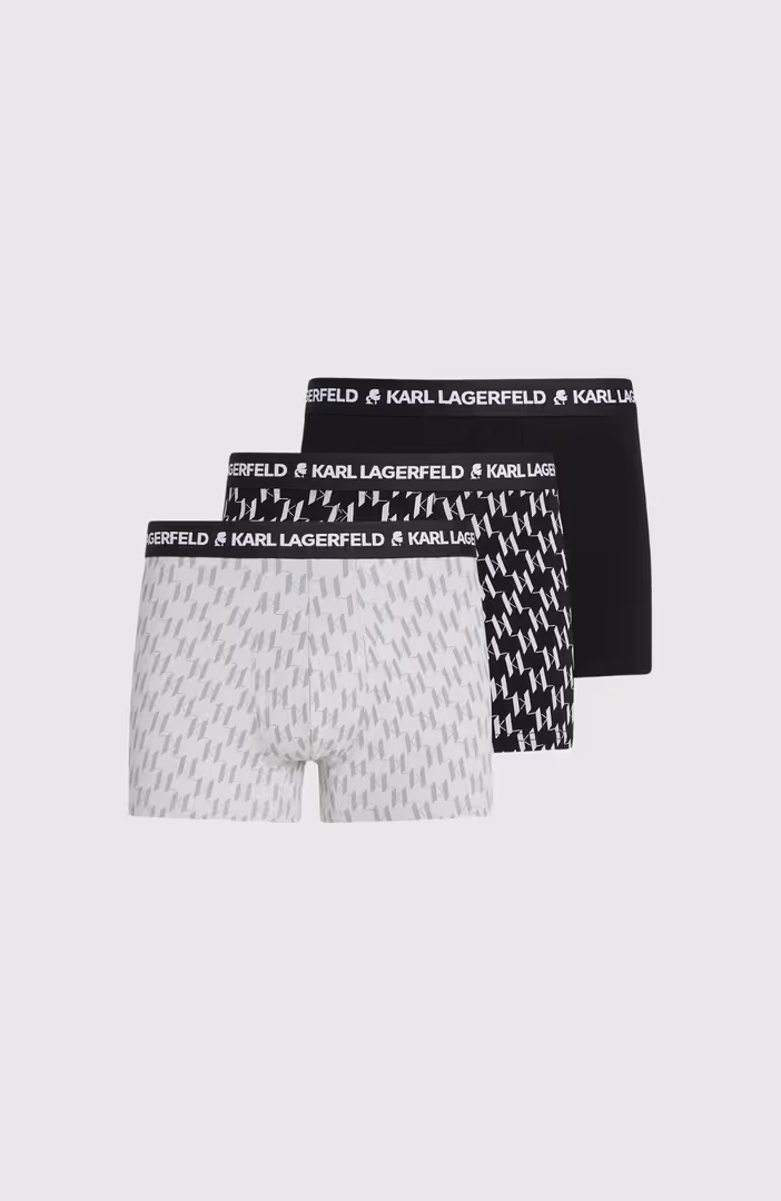 Monogram Aop Trunk (3P)