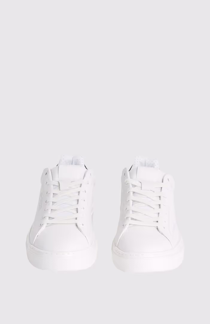 Rovic Cup Low M