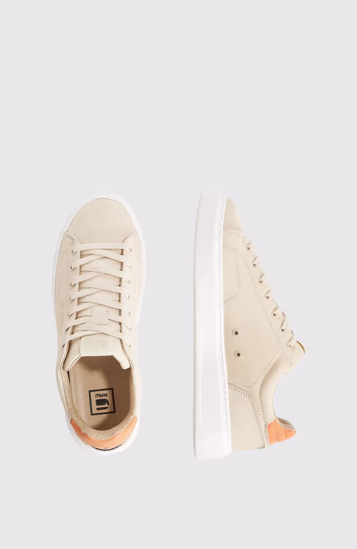 Rovic Cup Low M