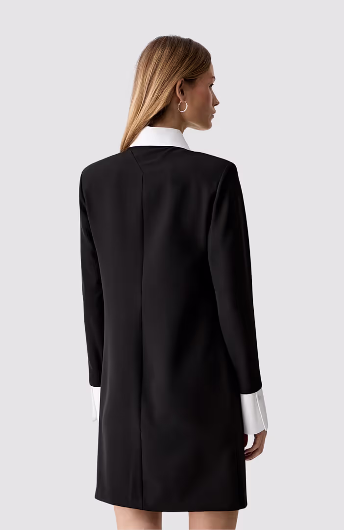 Contrast Collar Dress