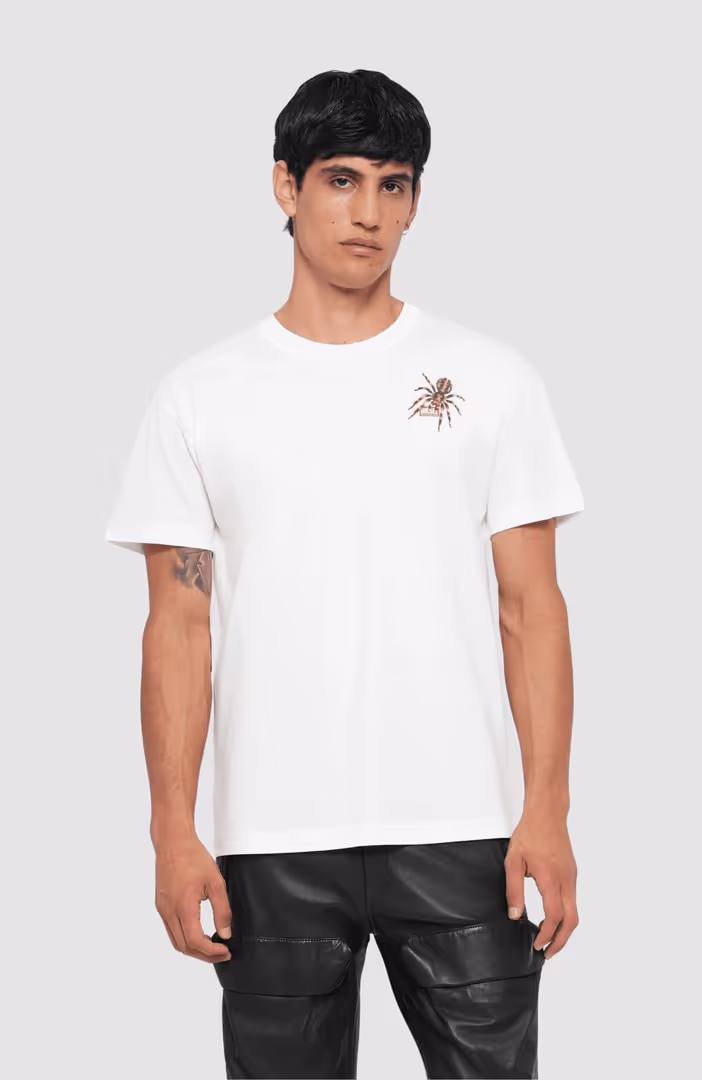 T Norm Spider