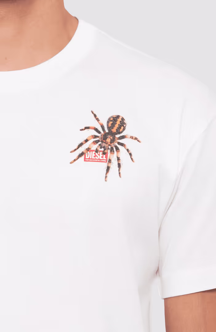 T Norm Spider