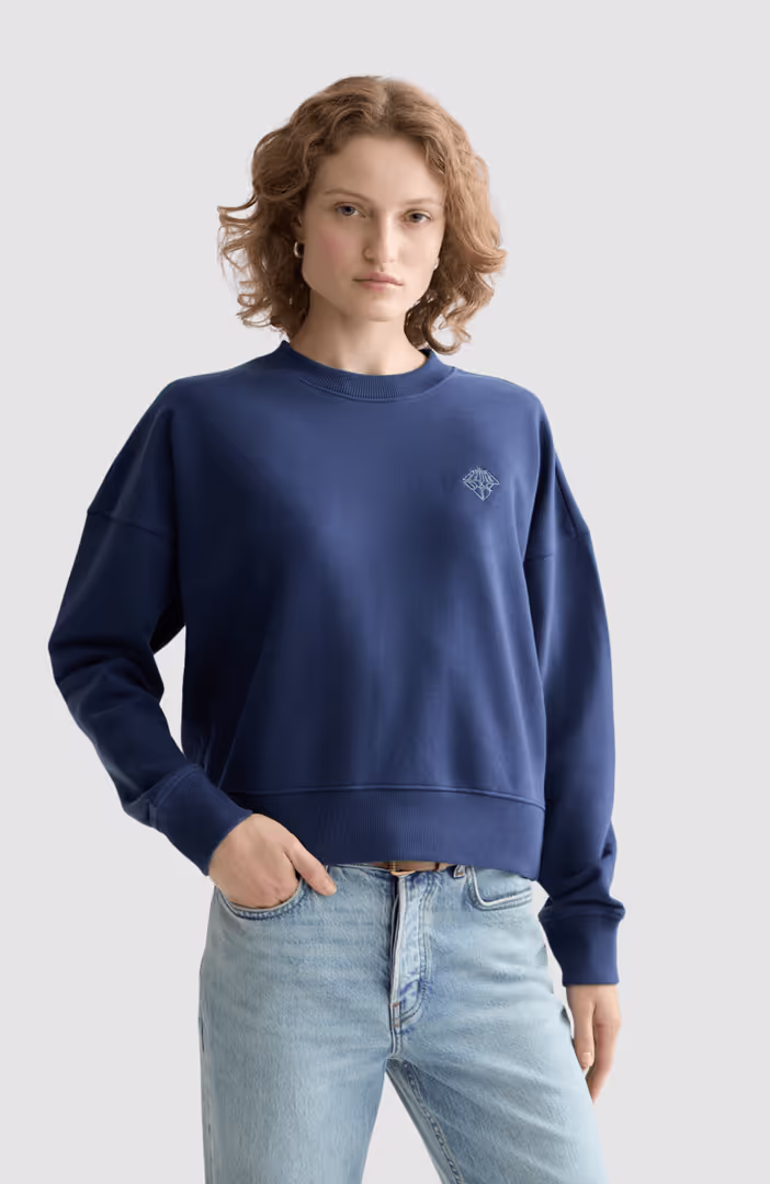 Embroidered logo relaxed fit sweatshirt