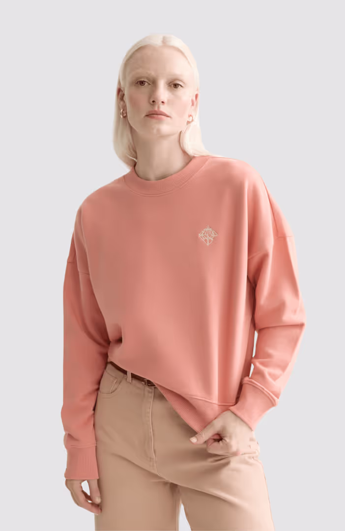 Embroidered logo relaxed fit sweatshirt
