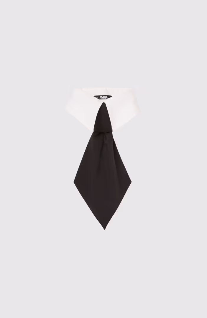 Collar And Tie