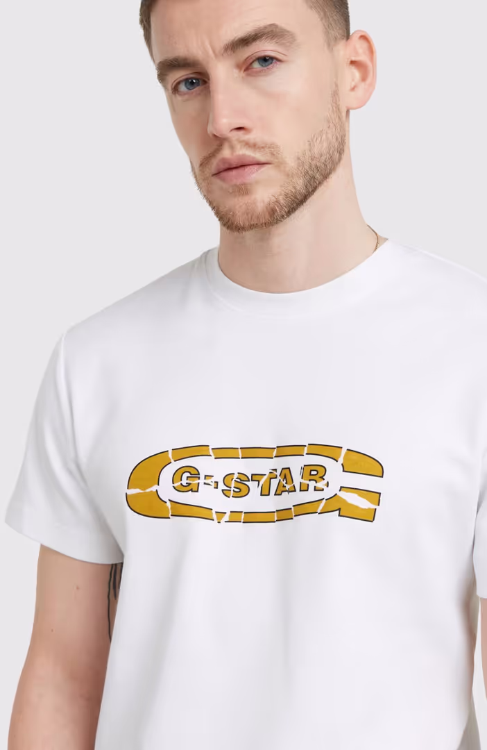 Destroyed old skool logo r t