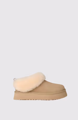 Tazzelle