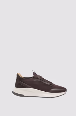 Ttnm Evo_Slon_Knbult