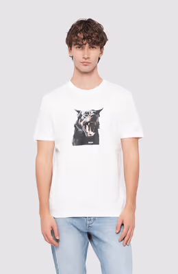 Te_Dobermann