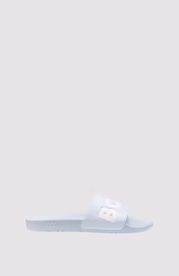 Aryeh_Slid_npvlg